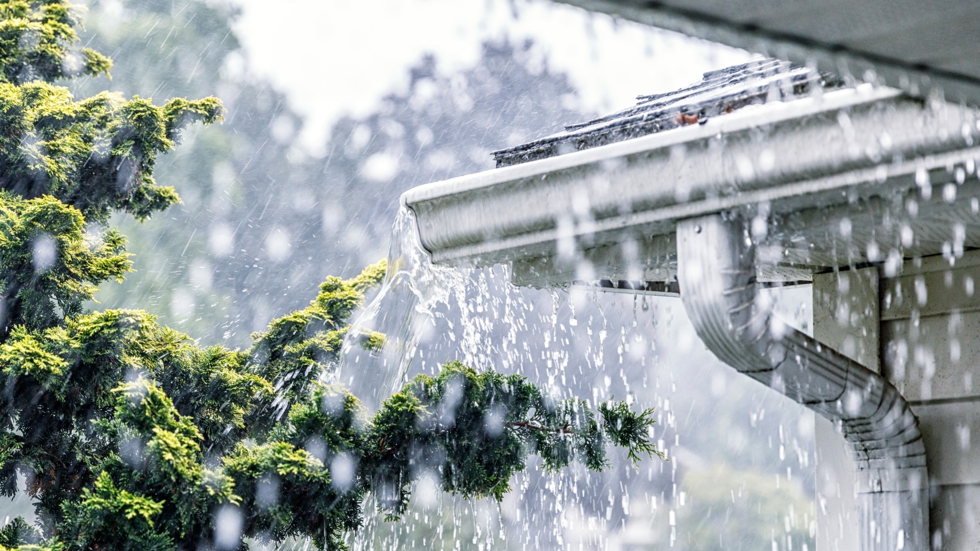 Gutters Northern Michigan Water Flow